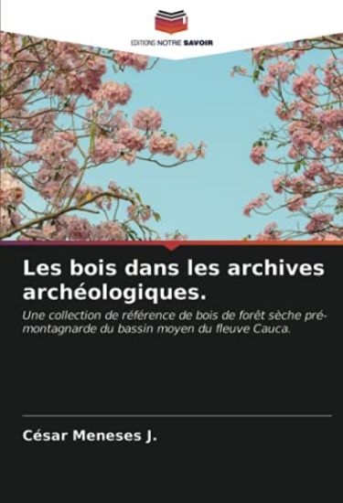 Les bois dans les archives archéologiques.