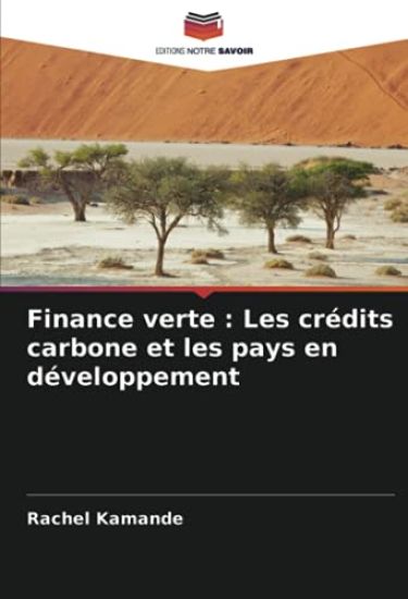 Finance verte : Les crédits carbone et les pays en développement