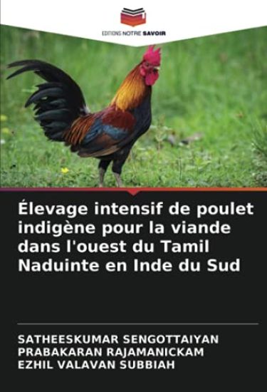 Élevage intensif de poulet indigène pour la viande dans l'ouest du Tamil Naduinte en Inde du Sud