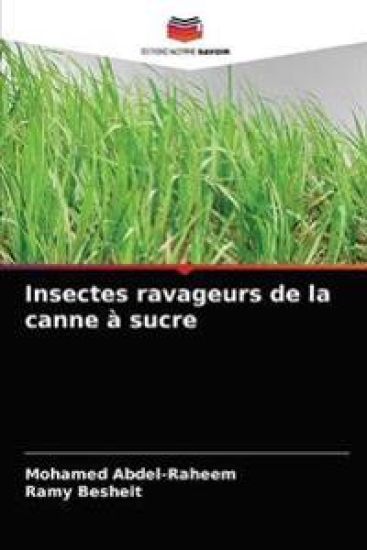 Insectes ravageurs de la canne à sucre