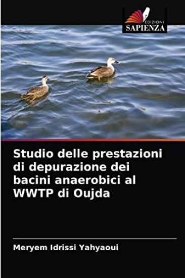 Studio delle prestazioni di depurazione dei bacini anaerobici al WWTP di Oujda