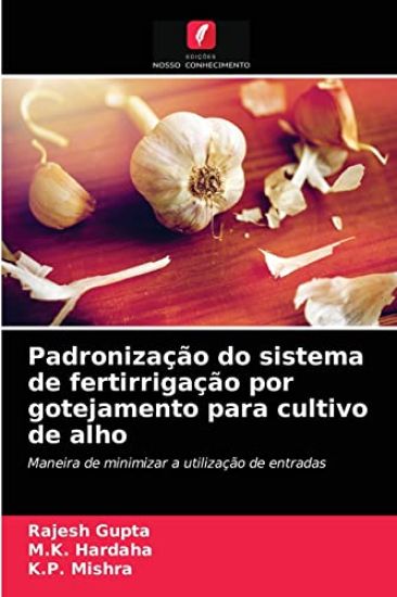 Padronização do sistema de fertirrigação por gotejamento para cultivo de alho