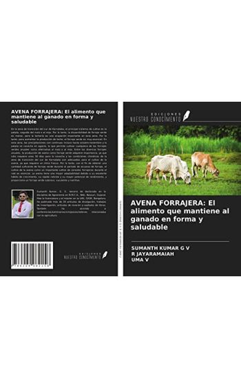 AVENA FORRAJERA: El alimento que mantiene al ganado en forma y saludable