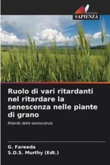 Ruolo di vari ritardanti nel ritardare la senescenza nelle piante di grano