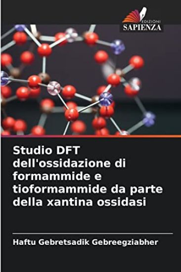 Studio DFT dell'ossidazione di formammide e tioformammide da parte della xantina ossidasi