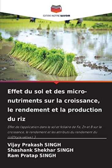 Effet du sol et des micro-nutriments sur la croissance, le rendement et la production du riz