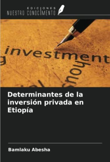 Determinantes de la inversión privada en Etiopía