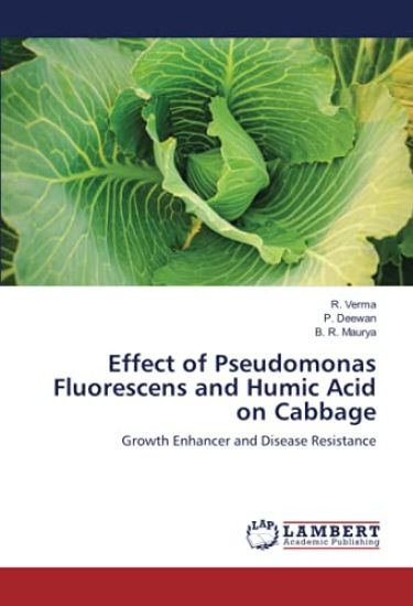 Effect of Pseudomonas Fluorescens and Humic Acid on Cabbage