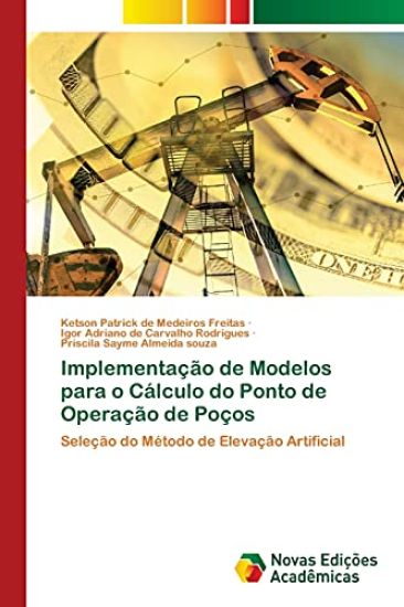 Implementação de Modelos para o Cálculo do Ponto de Operação de Poços