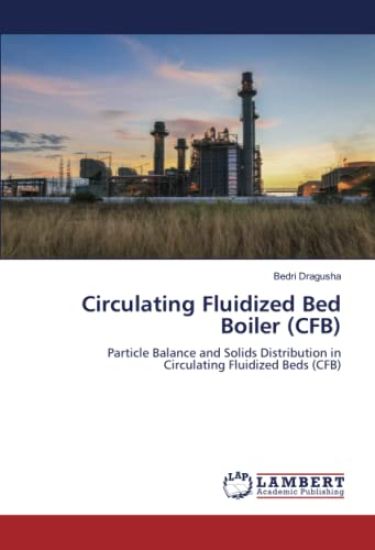 Circulating Fluidized Bed Boiler (CFB)