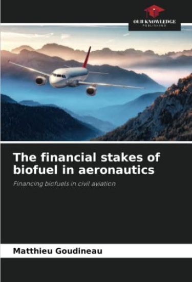 The financial stakes of biofuel in aeronautics