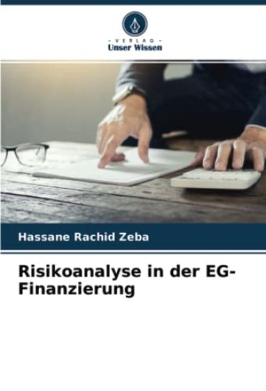 Risikoanalyse in der EG-Finanzierung