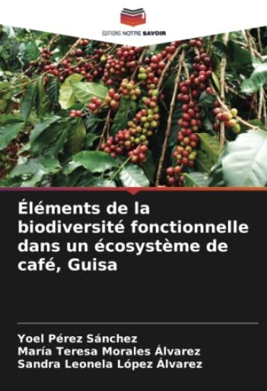 Éléments de la biodiversité fonctionnelle dans un écosystème de café, Guisa