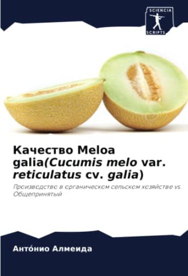 Kachestwo Meloa galia(Cucumis melo var. reticulatus cv. galia)