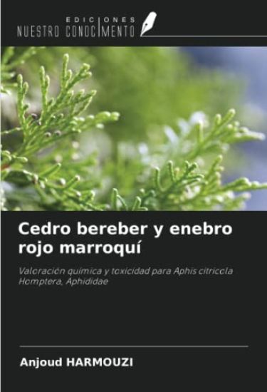 Cedro bereber y enebro rojo marroquí