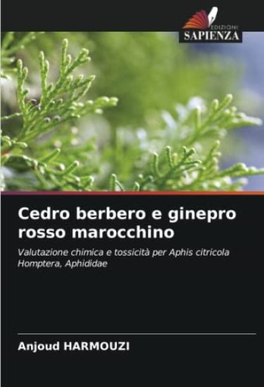 Cedro berbero e ginepro rosso marocchino