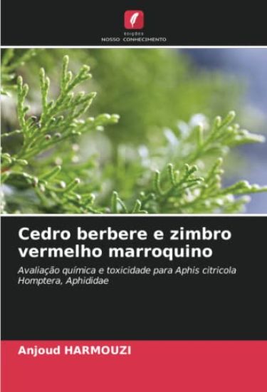 Cedro berbere e zimbro vermelho marroquino