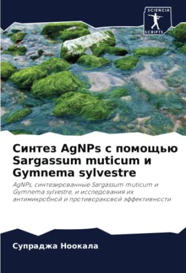 Sintez AgNPs s pomosch'ü Sargassum muticum i Gymnema sylvestre