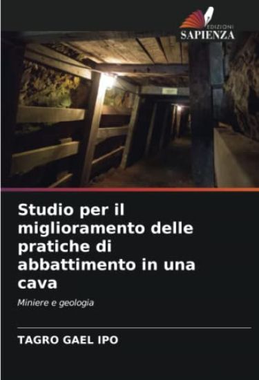 Studio per il miglioramento delle pratiche di abbattimento in una cava