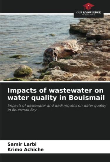 Impacts of wastewater on water quality in Bouismail