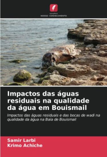 Impactos das águas residuais na qualidade da água em Bouismail
