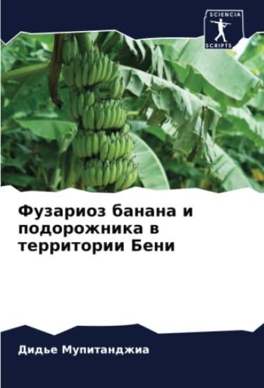 Fuzarioz banana i podorozhnika w territorii Beni