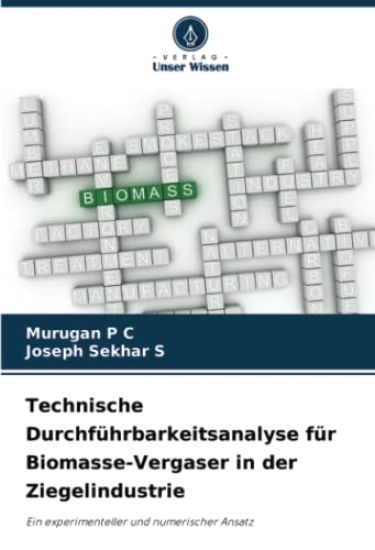 Technische Durchführbarkeitsanalyse für Biomasse-Vergaser in der Ziegelindustrie