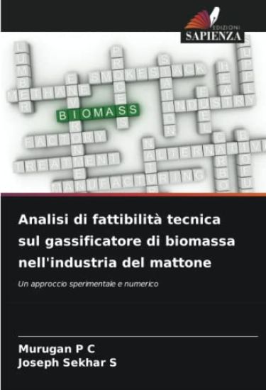 Analisi di fattibilità tecnica sul gassificatore di biomassa nell'industria del mattone