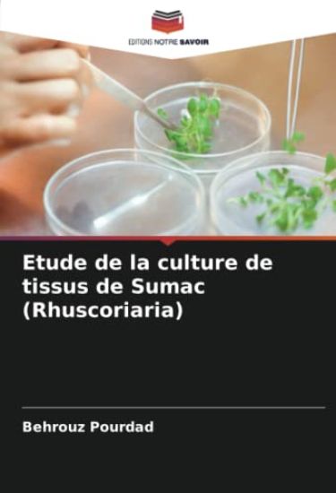 Etude de la culture de tissus de Sumac (Rhuscoriaria)