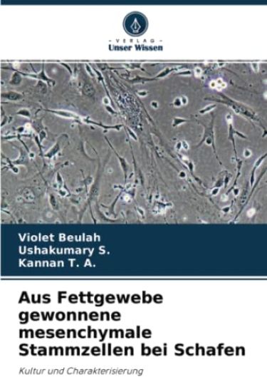 Aus Fettgewebe gewonnene mesenchymale Stammzellen bei Schafen