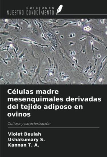 Células madre mesenquimales derivadas del tejido adiposo en ovinos