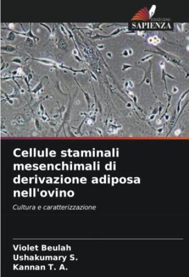 Cellule staminali mesenchimali di derivazione adiposa nell'ovino