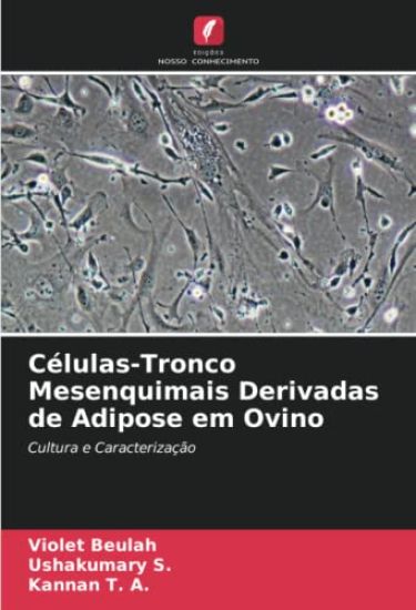 Células-Tronco Mesenquimais Derivadas de Adipose em Ovino