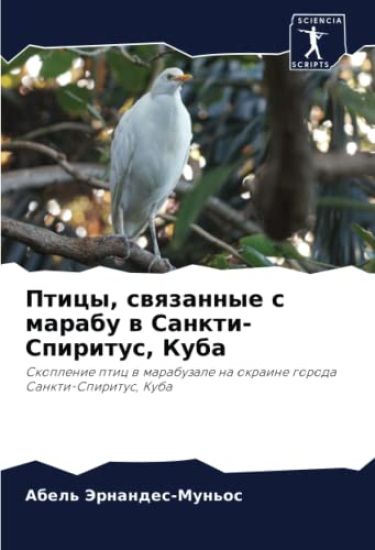 Pticy, swqzannye s marabu w Sankti-Spiritus, Kuba