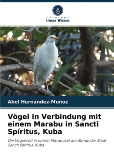 Vögel in Verbindung mit einem Marabu in Sancti Spíritus, Kuba