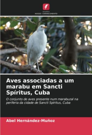 Aves associadas a um marabu em Sancti Spíritus, Cuba