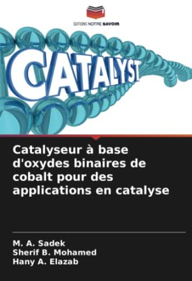 Catalyseur à base d'oxydes binaires de cobalt pour des applications en catalyse