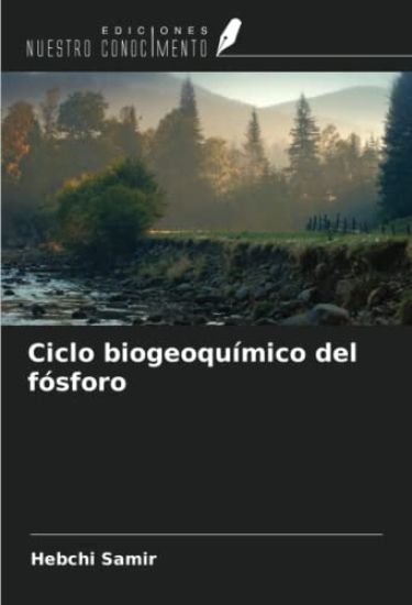 Ciclo biogeoquímico del fósforo