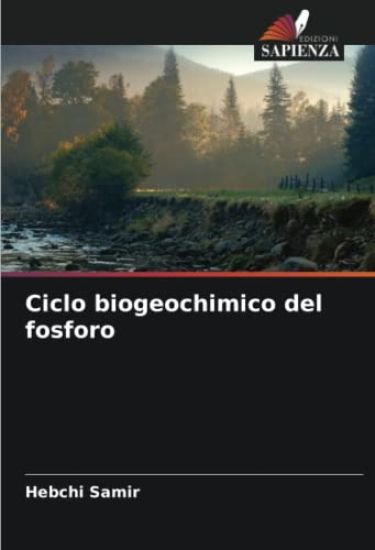 Ciclo biogeochimico del fosforo
