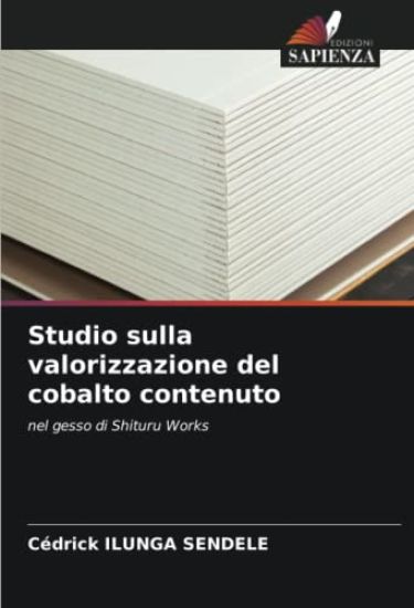 Studio sulla valorizzazione del cobalto contenuto