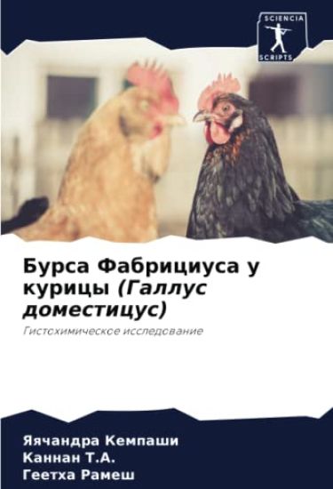 Bursa Fabriciusa u kuricy (Gallus domesticus)