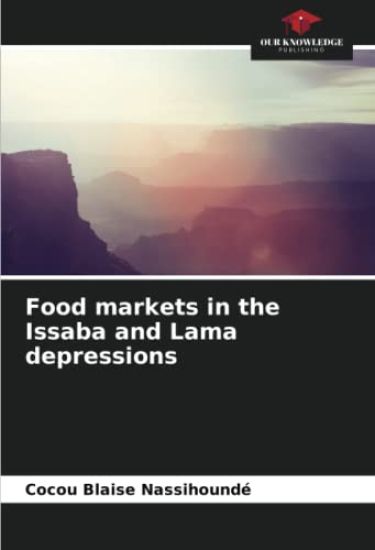 Food markets in the Issaba and Lama depressions