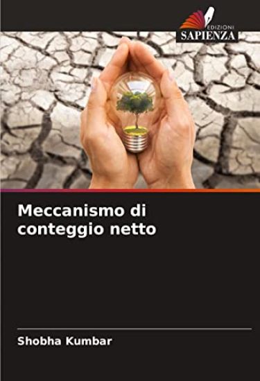 Meccanismo di conteggio netto