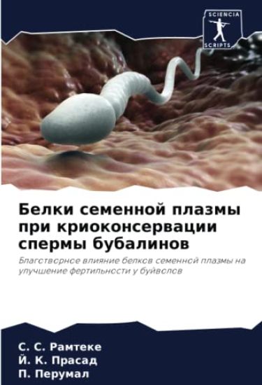 Belki semennoj plazmy pri kriokonserwacii spermy bubalinow