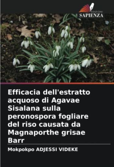 Efficacia dell'estratto acquoso di Agavae Sisalana sulla peronospora fogliare del riso causata da Magnaporthe grisae Barr