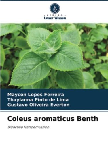 Coleus aromaticus Benth