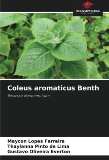 Coleus aromaticus Benth