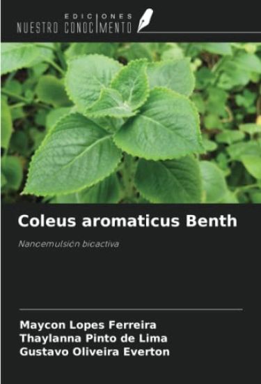 Coleus aromaticus Benth