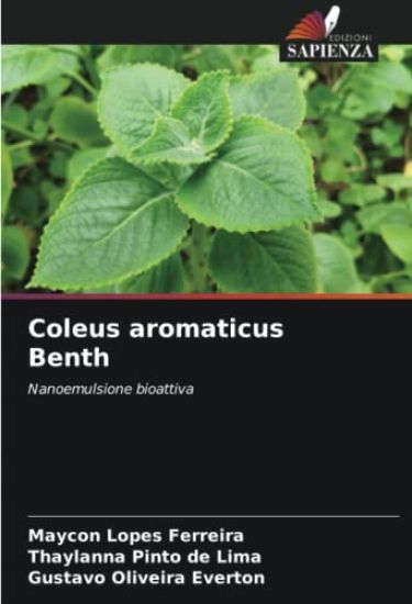 Coleus aromaticus Benth