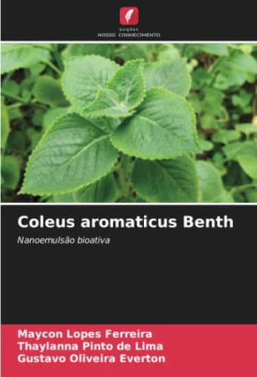 Coleus aromaticus Benth